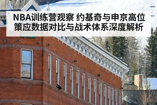 NBA训练营观察 约基奇与申京高位策应数据对比与战术体系深度解析
