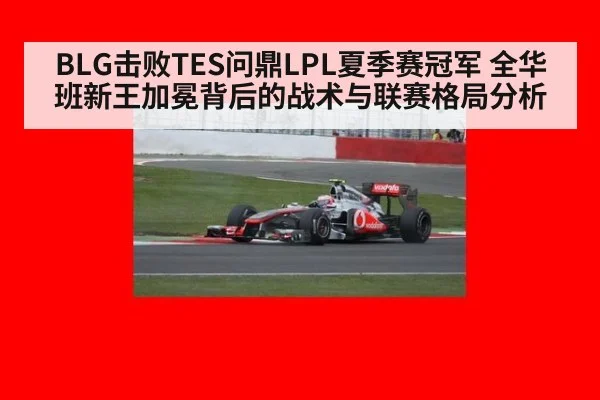 BLG击败TES问鼎LPL夏季赛冠军 全华班新王加冕背后的战术与联赛格局分析